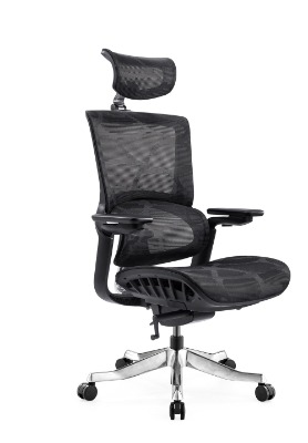 Mesh Back Chair